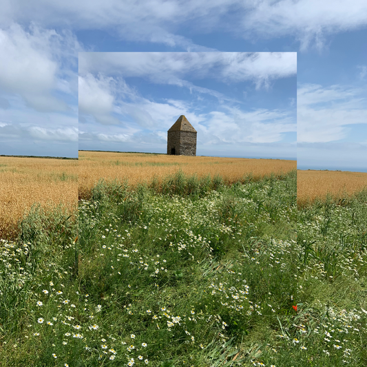 Sunday Transcendents